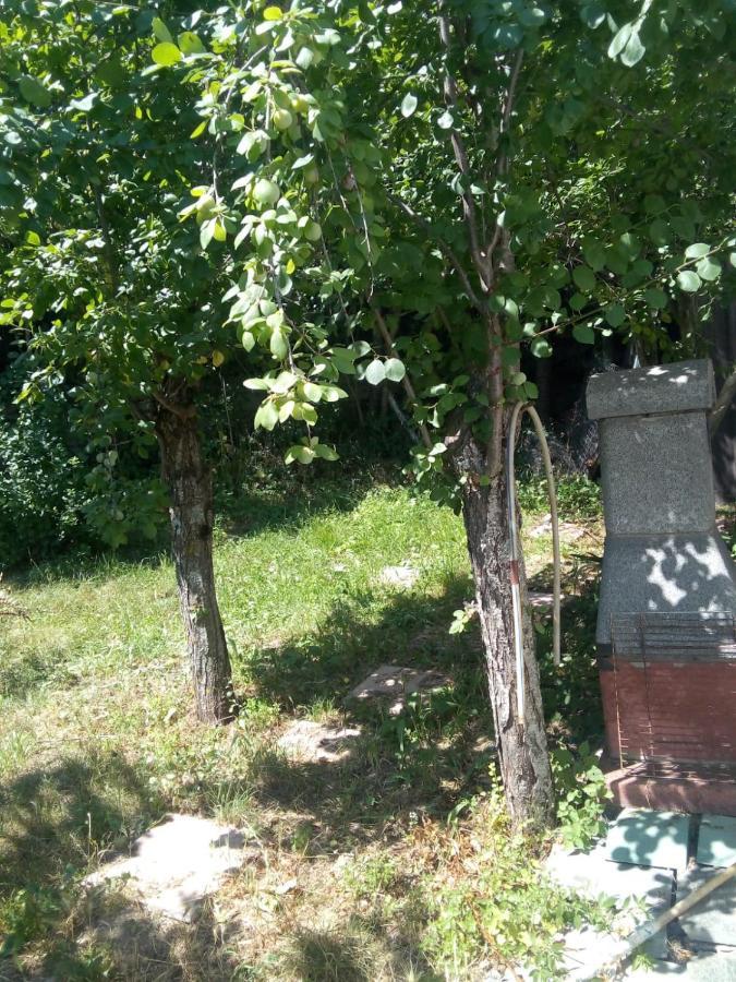 Montagna&Mare Calabria B&B Rent Ebike E Bed Motorbike Colosimi Exterior photo